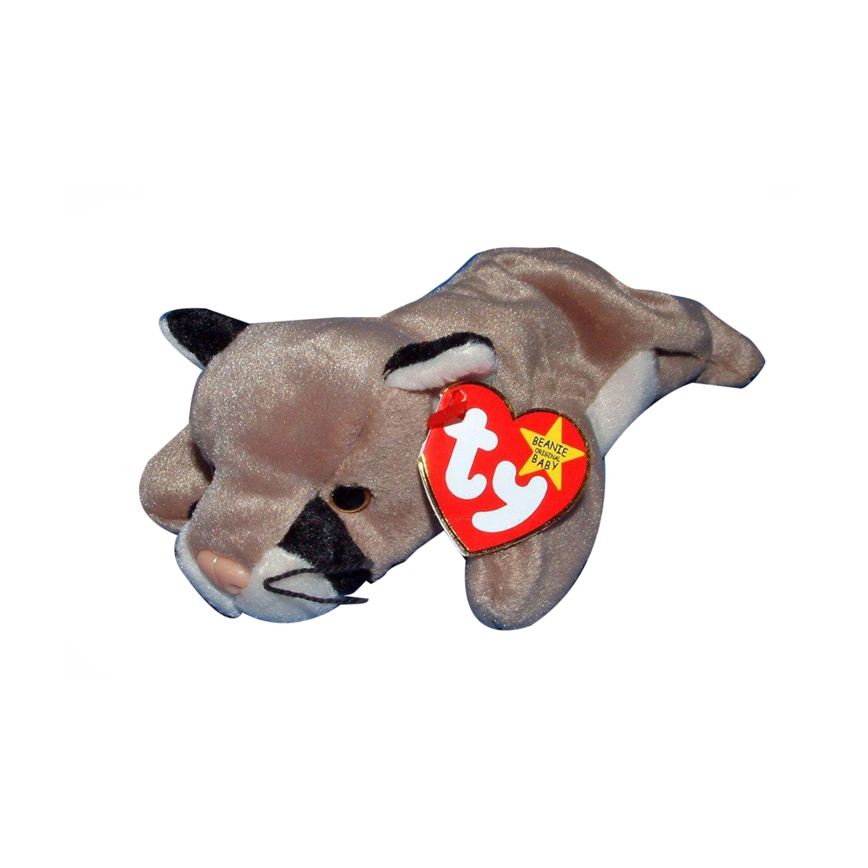 canyon beanie baby