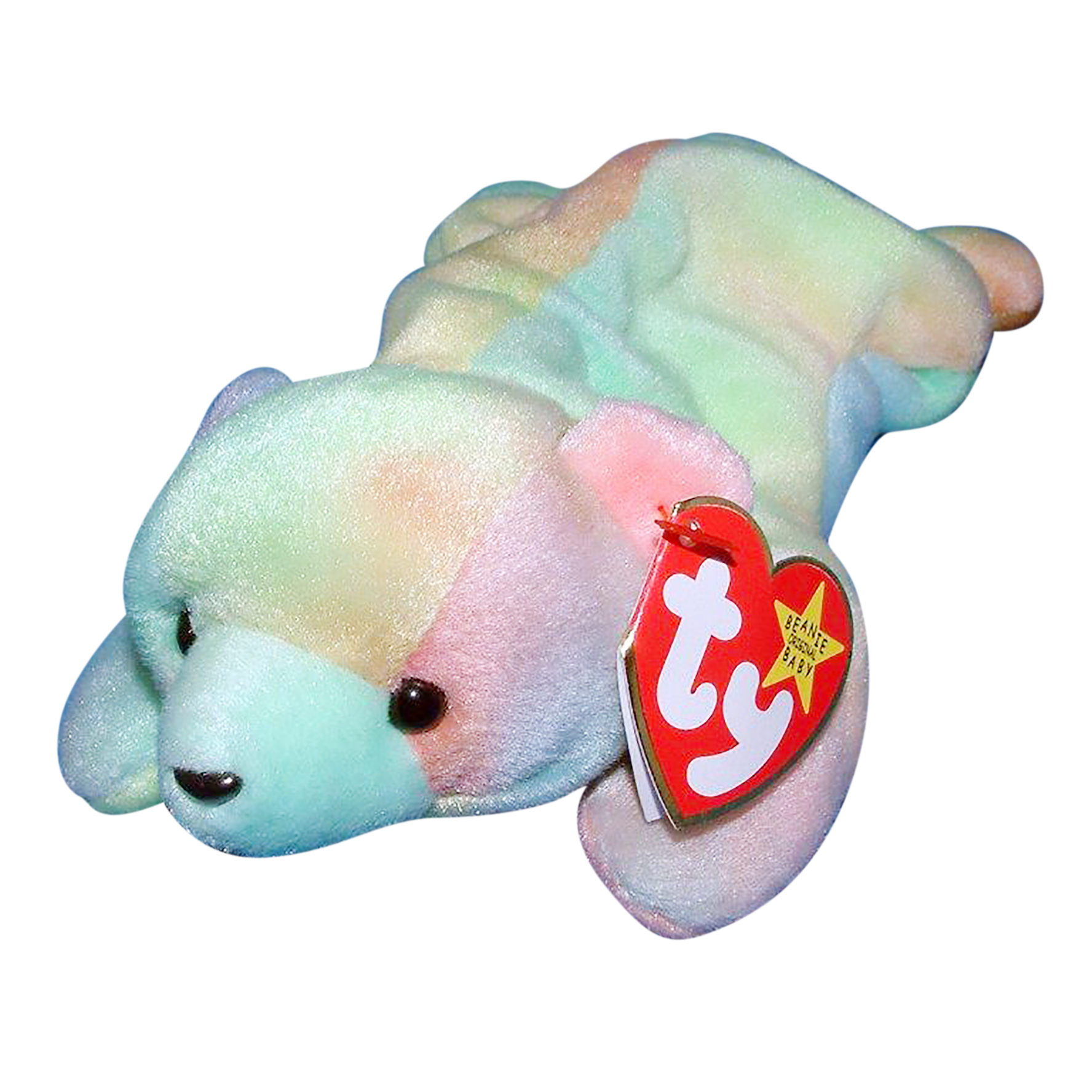 sammy beanie baby